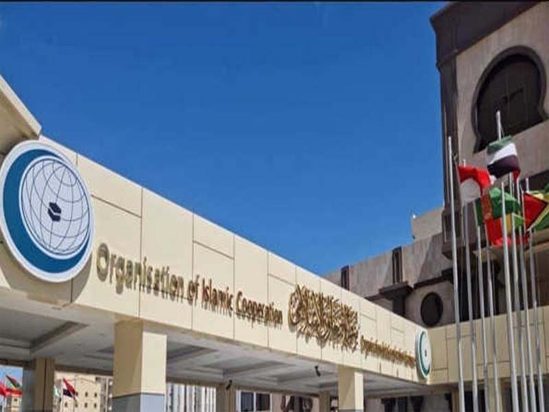 Pakistan will prioritize peace and Gaza relief efforts at the next OIC meeting.
