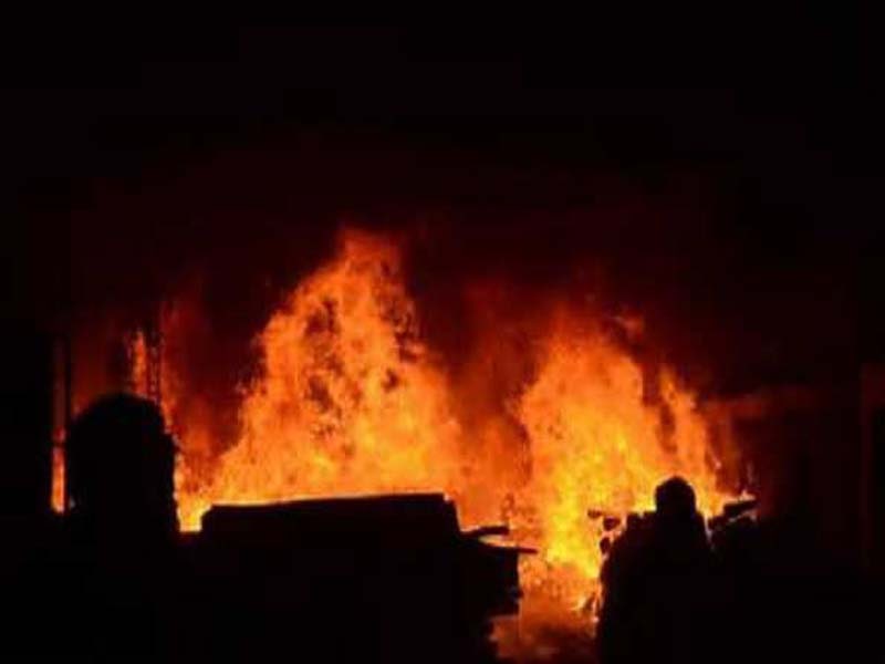Andhra: Recreation park fire breaks out, no one hurt