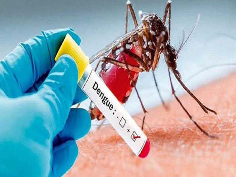 Pakistan says Ten new cases of dengue