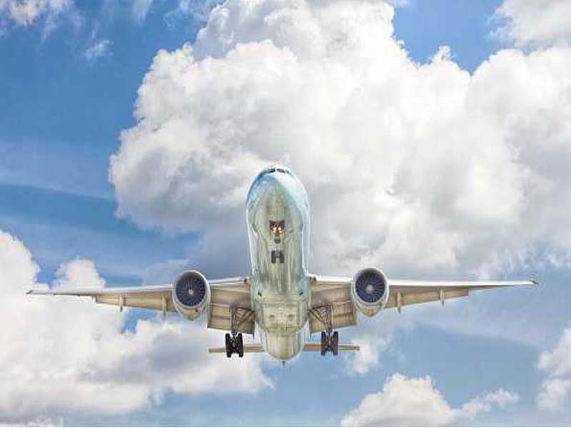 US Utilizes Chartered Flight to Repatriate Illegal Indian Residents