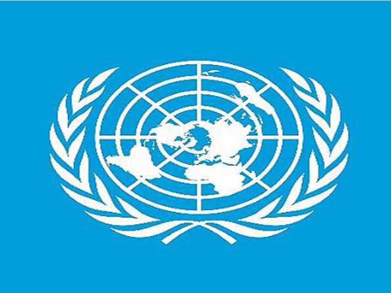 “India Thanks Nations for Backing UNSC Bid at UNGA”