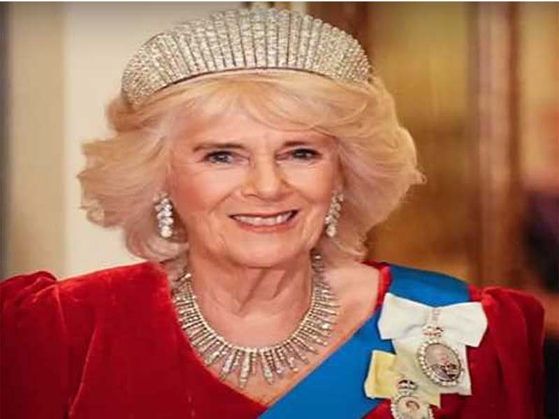 Queen Camilla Attends Banquet After Pneumonia Recovery