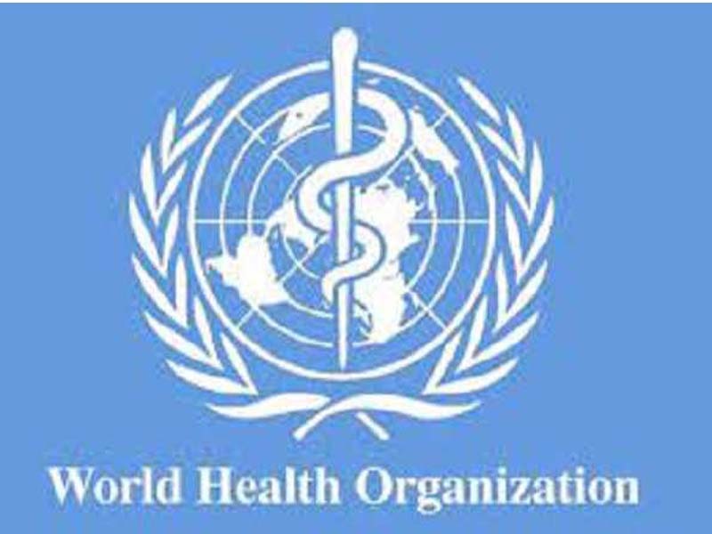WHO Chief Calls for Release of UN Staff After Houthi Talks