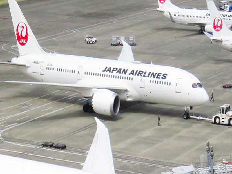 Cyberattack targets Japan Airlines: Reports