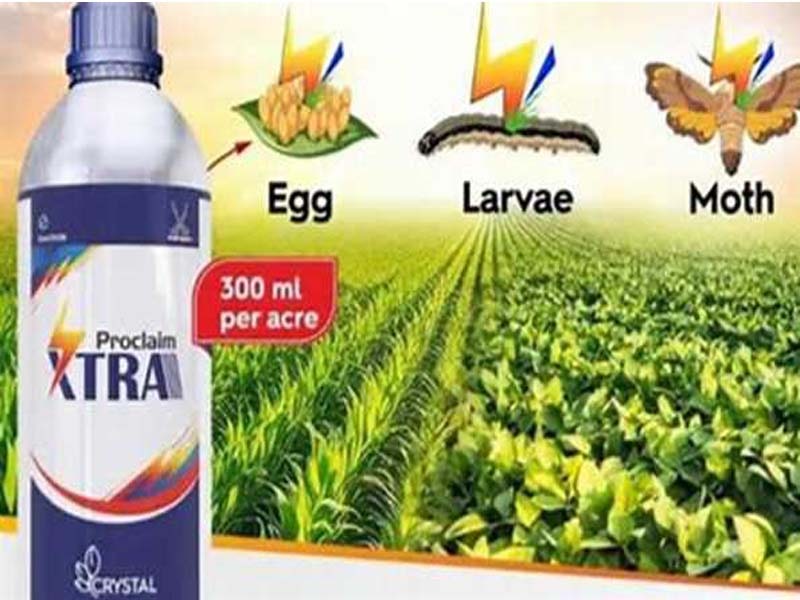 The insecticide Proclaim Xtra is introduced by Crystal Crop Protection.